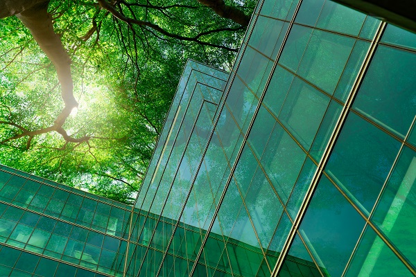 En bild upp längs glasfasad mot grön lummig trädkrona där solen strålar igenom